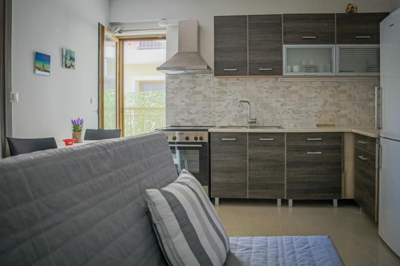 Zanteapts المظهر الخارجي الصورة